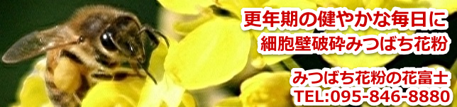 更年期世代が知っておきたい栄養のポイントとは?