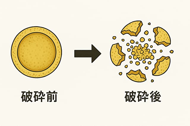細胞壁破砕のイメージ図